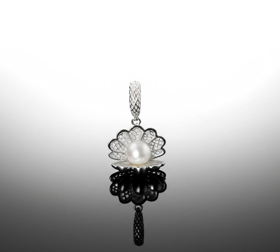 528276cc374a9e335d409046c2e68ac2