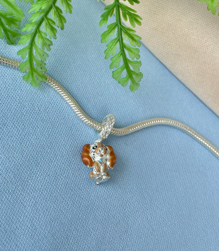 954935c0938eb0db772ee6c44759d8dc